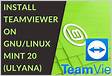 How To Install TeamViewer on Linux Mint 20 Linux Mint 1
